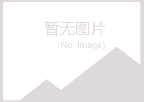 宁夏山柏木材有限公司